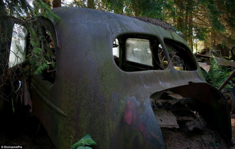 Illustration for article titled Chatillon, Belgium. The Graveyard Of The Cars Of The American Soldiers Deployed In Europe, Who Didn't Take Them Back To The U.S.A.